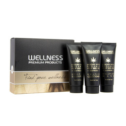 WELLNESS PREMIUM PRODUCTS Wellplex mini zestaw regenerujący do włosów łamliwych (szampon 50ml | odżywka 50ml | maska 50ml)